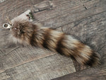 Raccoon Tail - RCC4