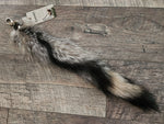 Grey Fox Tail - GF5