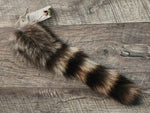 Raccoon Tail - RCC3